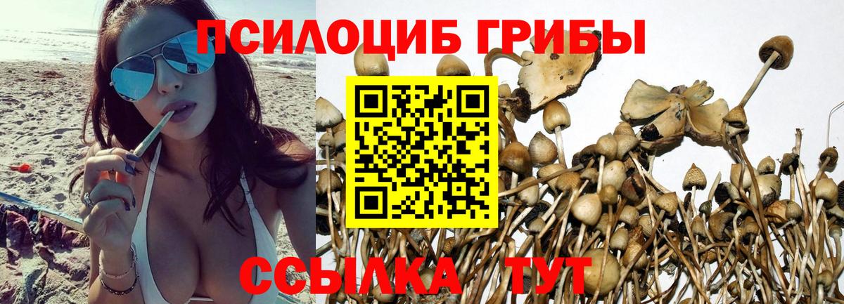Псилоцибиновые грибы мухоморы  Вход с VPN  Галлюциногенные грибы Cubensis  Красноперекопск 